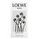 LOEWE AGUA MAR DE CORAL EAU DE TOILETTE